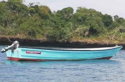 Fibreglass Panga Open Boat - 31ft